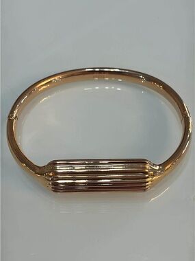 Fitbit Flex 2 Bangle